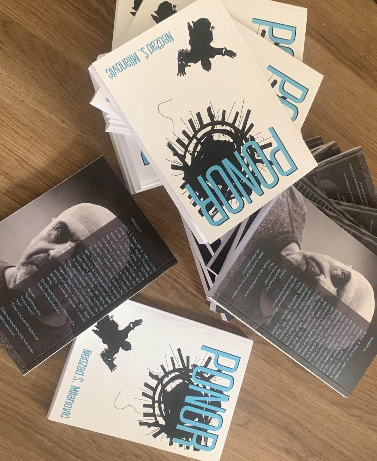 Promocija romana “Ponor”